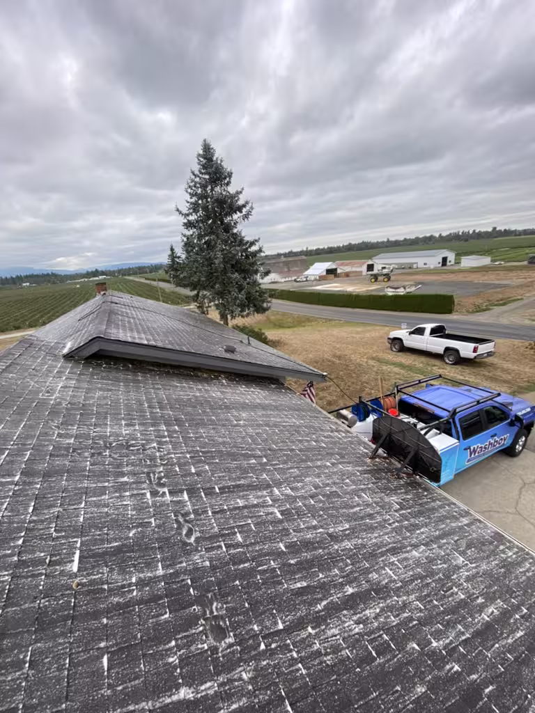 Roof cleaning