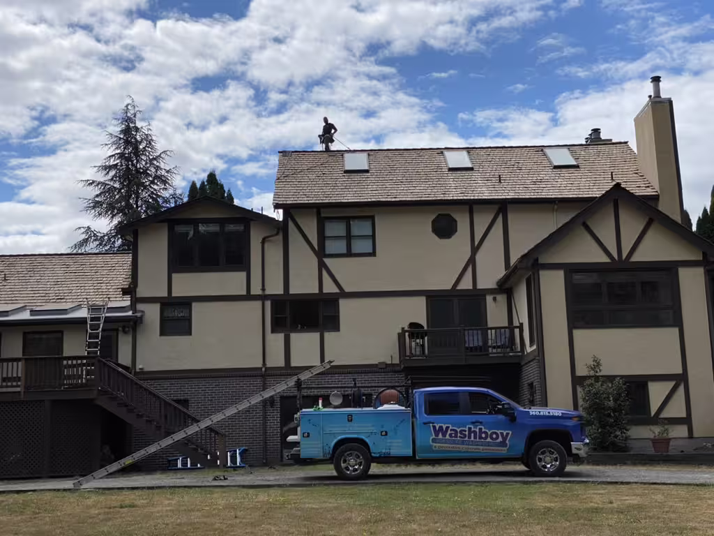Roof cleaning