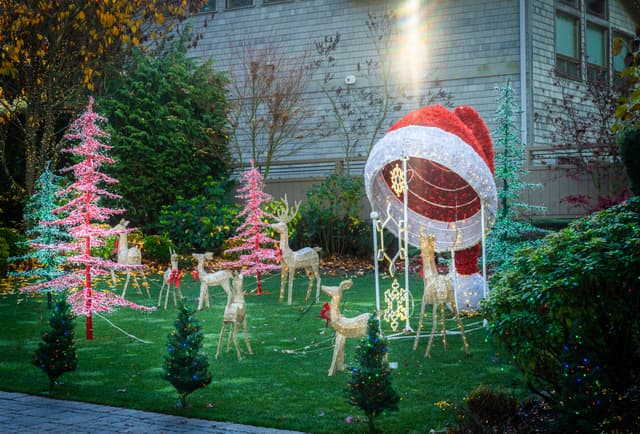 Christmas Light Display