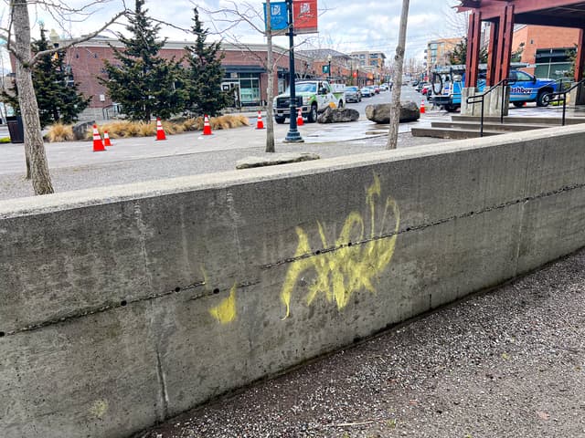 Graffiti Removal - before