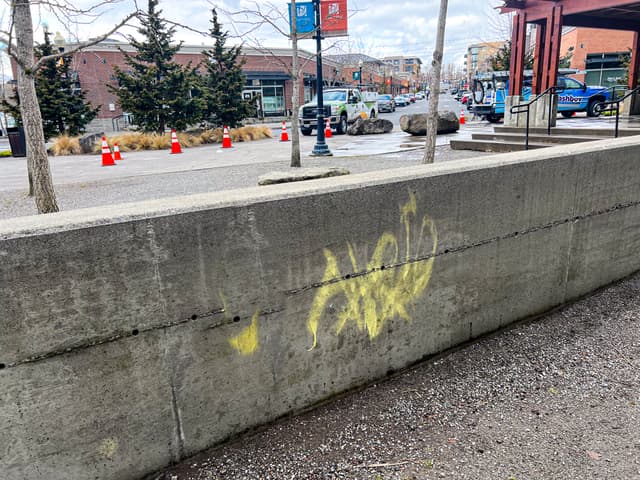 Graffiti Removal - before