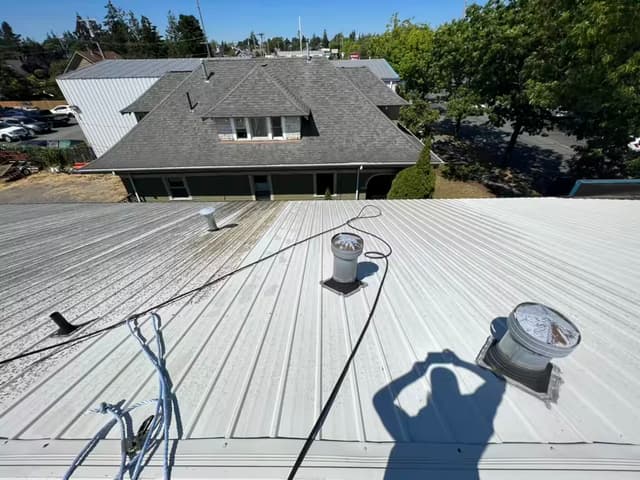 Roof Cleaning