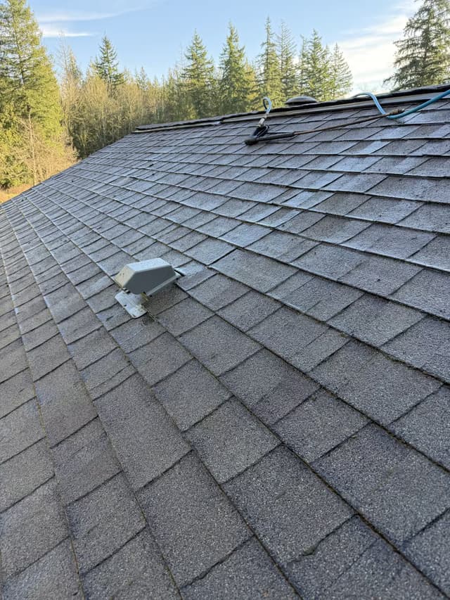 Roof Cleaning - during