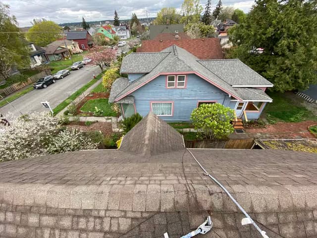 Roof Cleaning - during