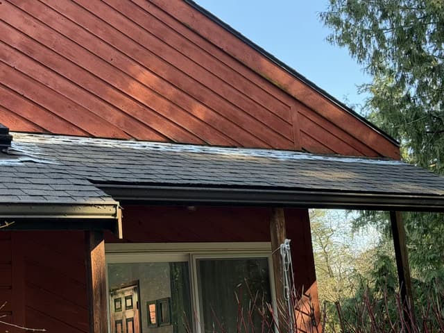 Roof Cleaning - during