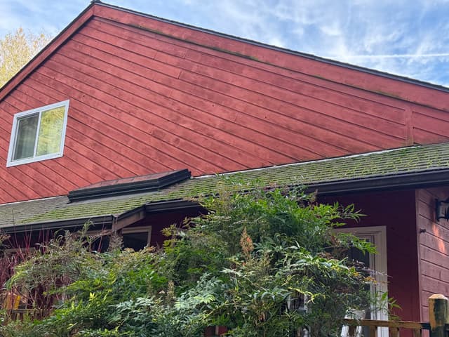 Roof Cleaning - before