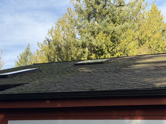 Roof Cleaning - before